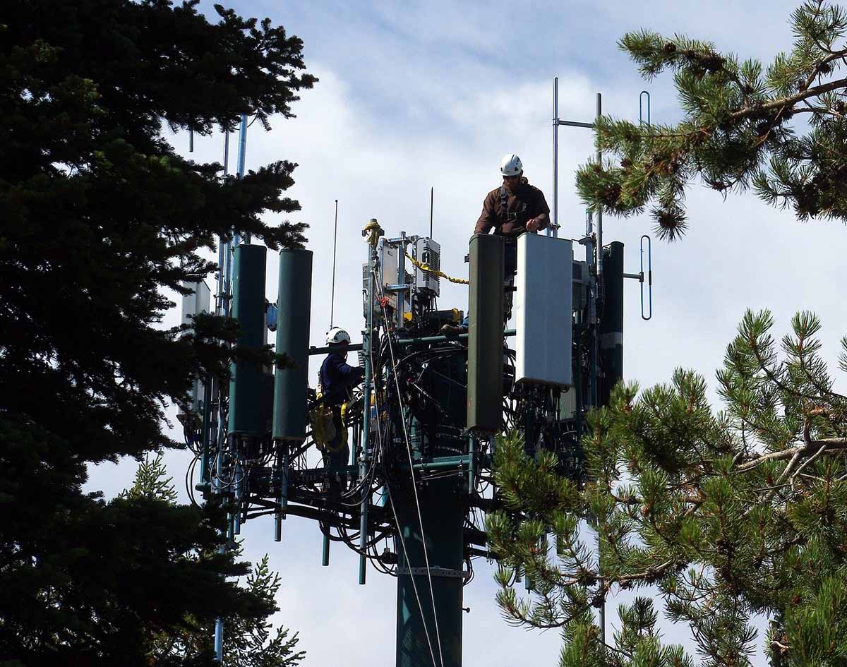 Your Serenity INC - scientist emf appeal