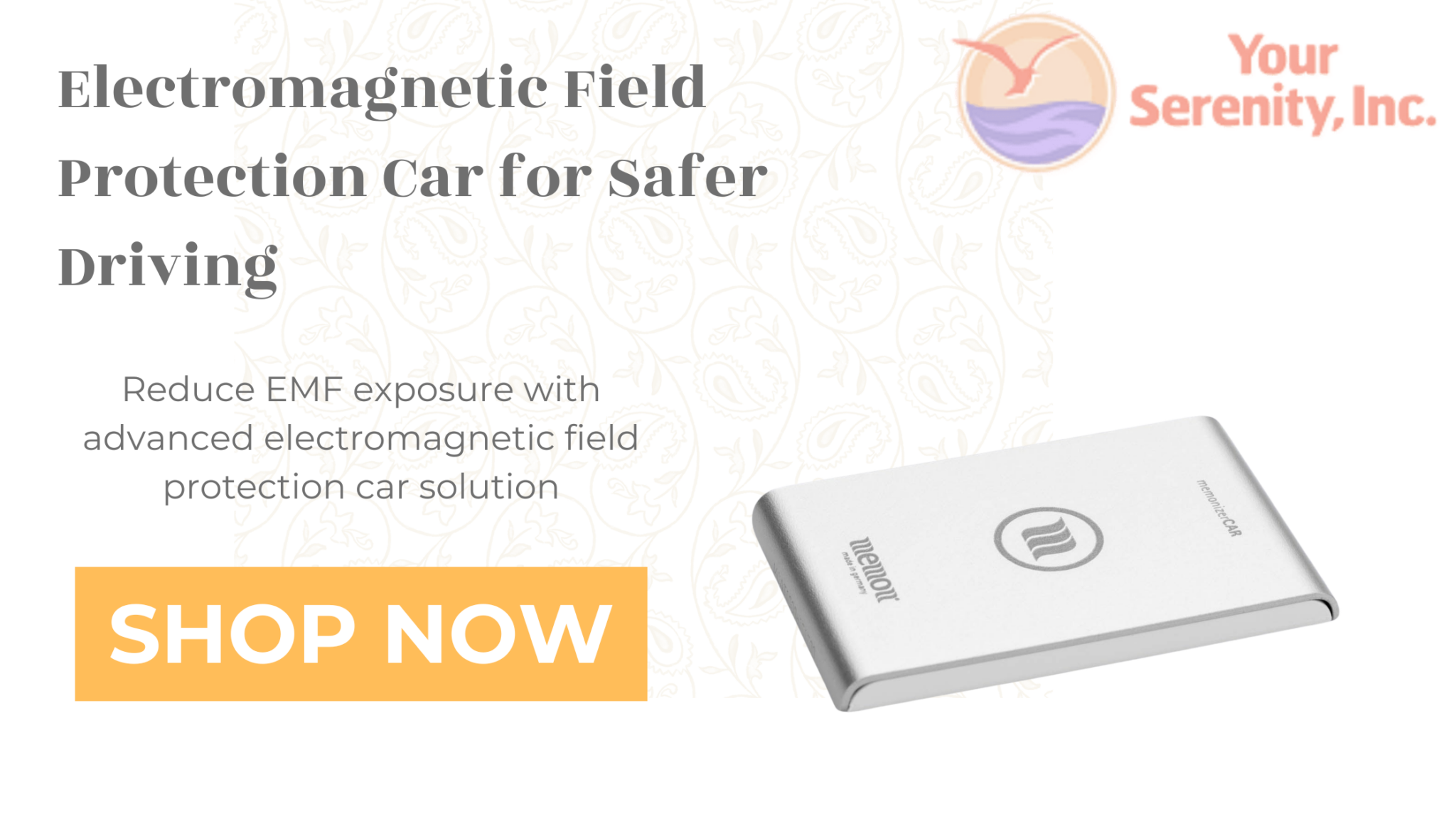 Electromagnetic field protection car