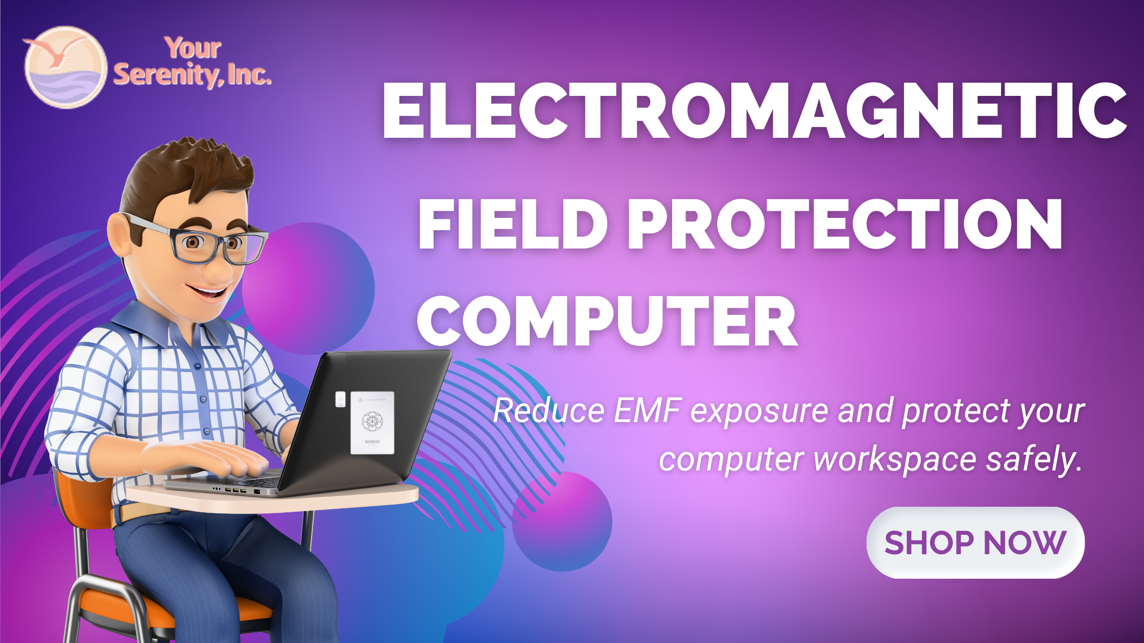 Electromagnetic field protection computer