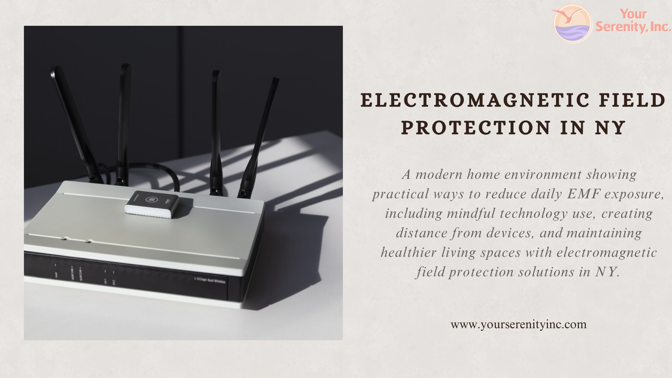 Electromagnetic field protection in NY